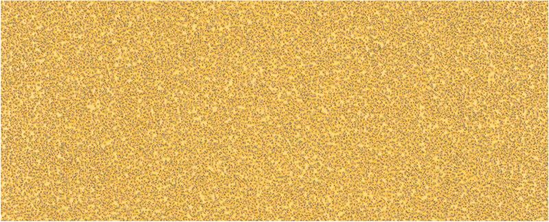BOSCH Brúsny papier EXPERT C470 bez otvorov pre orbitálne brúsky, 93 × 230 mm, zrnitosť 40, 10 ks